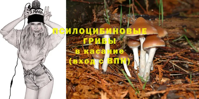 наркошоп  MEGA как зайти  Галлюциногенные грибы Magic Shrooms  Артёмовск 